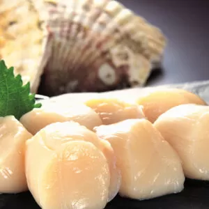 Frozen Scallops