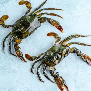 Soft Shell Crab