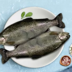 Himalayan Rainbow Trout Whole